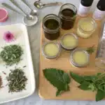 bee balm salve recipe