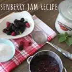 boysenberry jam recipe