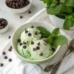 healthy mint chocolate chip ice cream